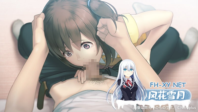 [ADV/STEAM官中/步兵][NitroPlus] 丑小鸭与文字祸/みにくいモジカの子[+全CG存档][4G]-1.jpg