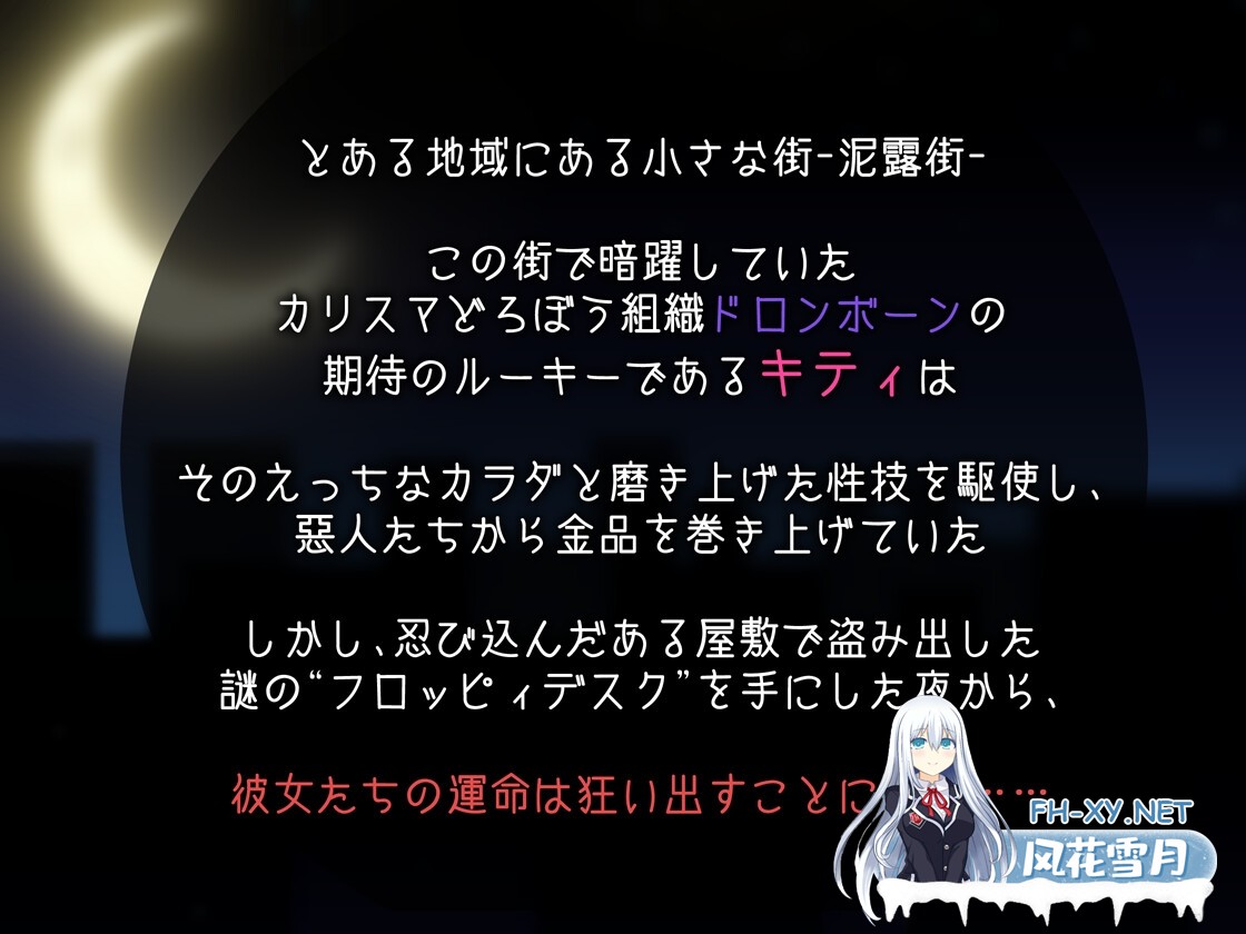 [精品RPG/汉化]盗贼猫的色情榨精记录/ドロケイ Ver1.01 精翻汉化版+全CG存档[PC/5.4G]-2.jpg