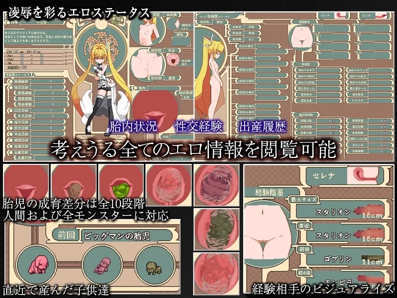 [PC][爆款神作ARPG/汉化/像素/2D]Violated Princess Ver1.063 精翻汉化 [1040.4MB]-2.png