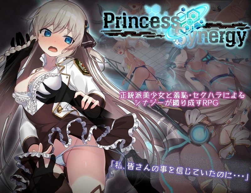 [PC][神级RPG/汉化/修复BUG/2D]公主协同效应 プリンセスシナジー Princess Synergy v1.05 内嵌汉化版+存档 [2.14GB]-1.jpg