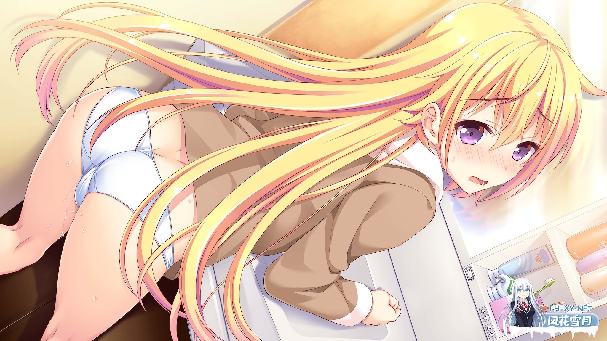 [ADV/STEAM官中/巨乳/恋爱]寄宿之恋/かりぐらし恋愛/Karigurashi Ren'ai: Living on Borrowed Love[+全CG存档][PC/2.99G]-3.jpeg